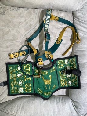 Custom Loki Themed Service Dog Vest & Harness